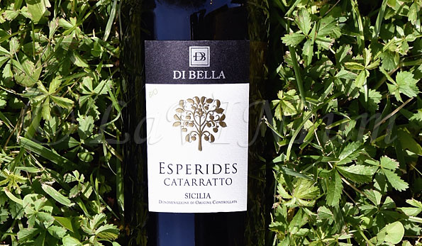 Sicilia Esperides Catarratto 2022 Di Bella