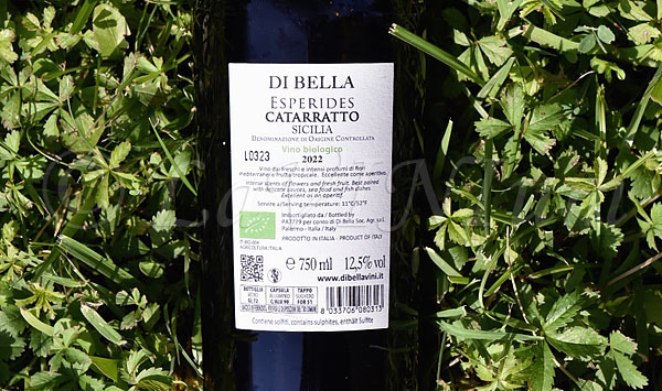 #degustazioni SICILIA ESPERIDES CATARRATTO 2022 DI BELLA Quasi tre anni fa rimasi entusiasta della versione 2019 di questo catarratto di Sebastiano Di Bella, fu la prima volta che assegnai le cinque chiocciole a un vino di questa cantina sita in Contrada… https://www.lavinium.it/sicilia-esperides-catarratto-2022-di-bella/