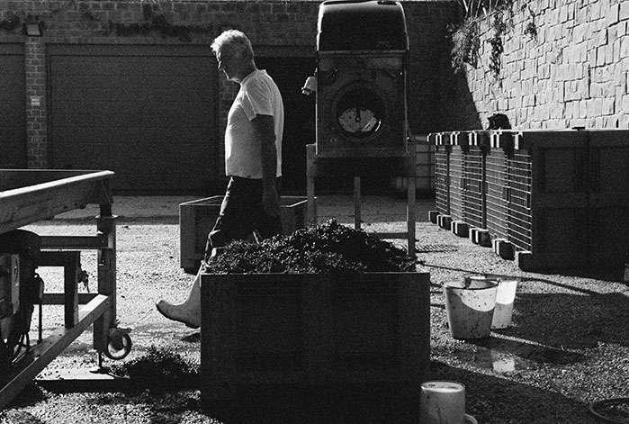 Tenuta Licinia bianco e nero