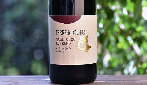 Terre di Cosenza Donnici Rosso Magliocco Estremo 2019 Terre del Gufo