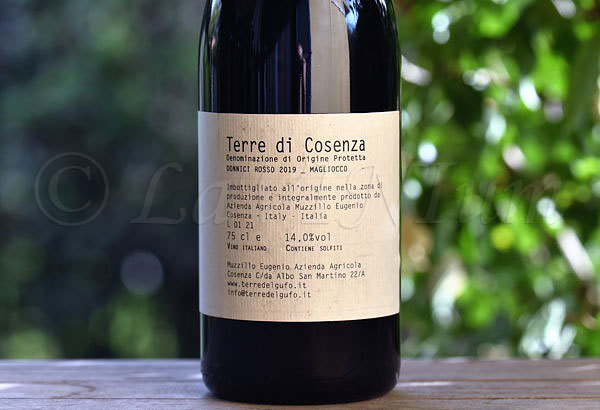 Terre di Cosenza Donnici Rosso Magliocco Estremo 2019 Terre del Gufo