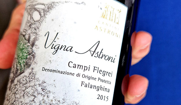 Campi Flegrei Vigna Astroni 2015