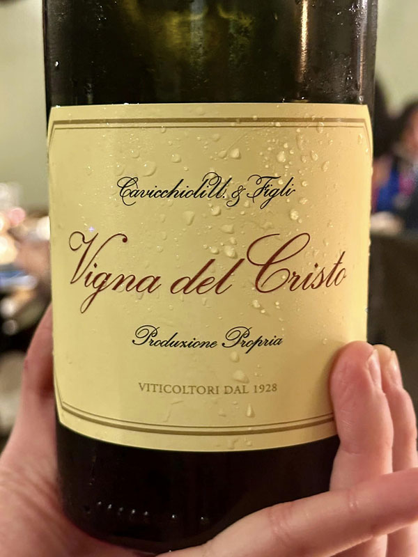 Lambrusco di Sorbara “Vigna del Cristo” Cantine Cavicchioli
