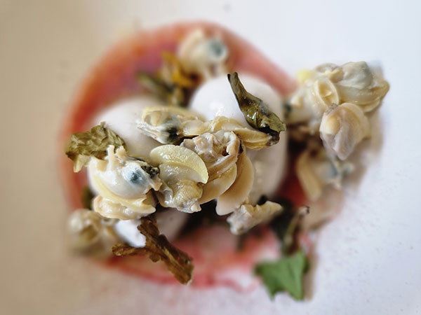 Capesante in acqua di lupini