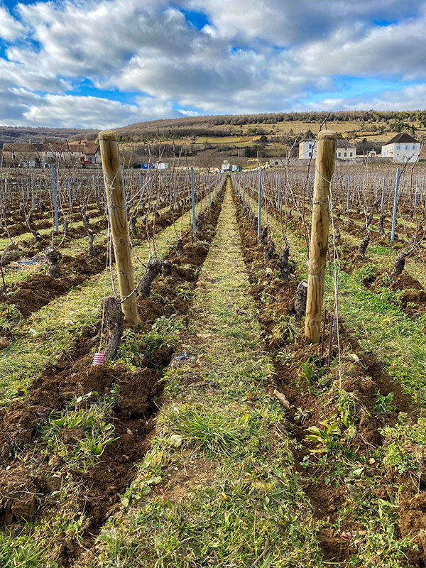Domaine Claude Nouveau