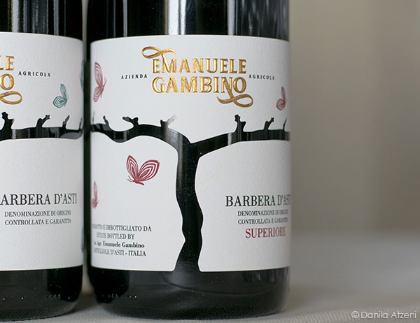 Barbera d’Asti Superiore 2020 Emanuele Gambino