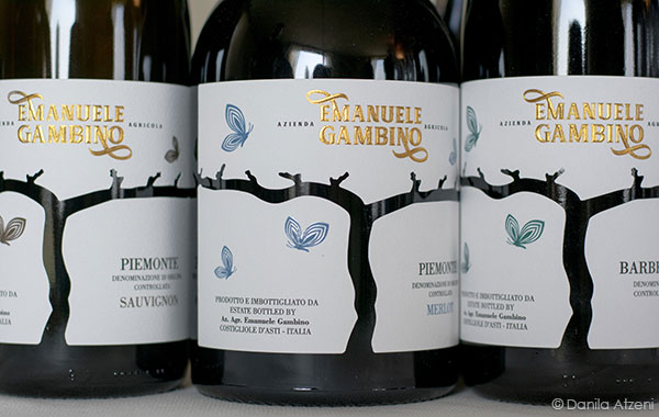 Piemonte Merlot 2020 Emanuele Gambino