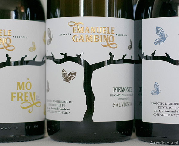 Piemonte Sauvignon 2021 Emanuele Gambino