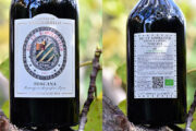 Il vino in 300 battute: Rosso d'Anfora Sic et Simpliciter 2021 Castello Poggiarello