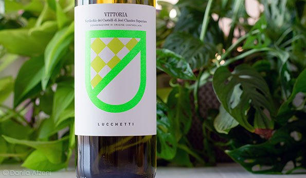 Verdicchio dei Castelli di Jesi Classico Superiore Vittoria 2021 Lucchetti