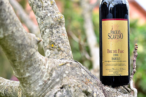 Barolo Bric del Fiasc 1996 Paolo Scavino