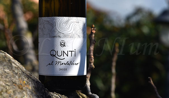 Falerio Pecorino Al MonteNero 2021 Quntì