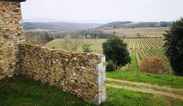 Vigneti Fèlsina