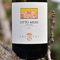 Otto Muri 2022 Collazzi