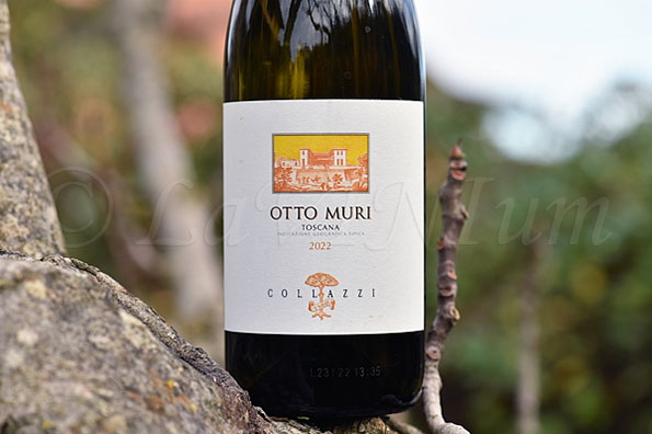 Otto Muri 2022 Collazzi