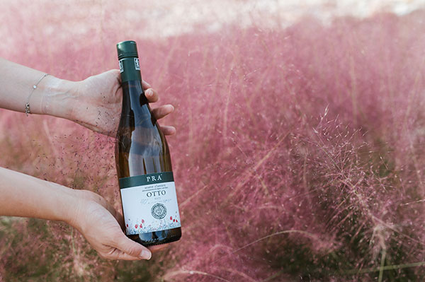 Soave Classico otto 2023 Prà