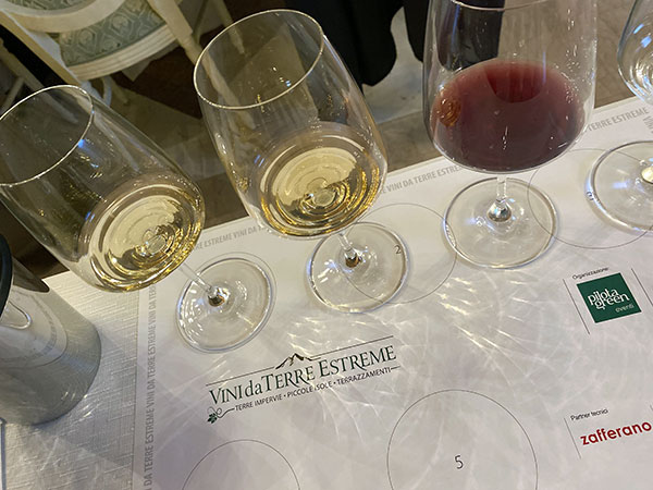 Vini da Terre Estreme Masterclass