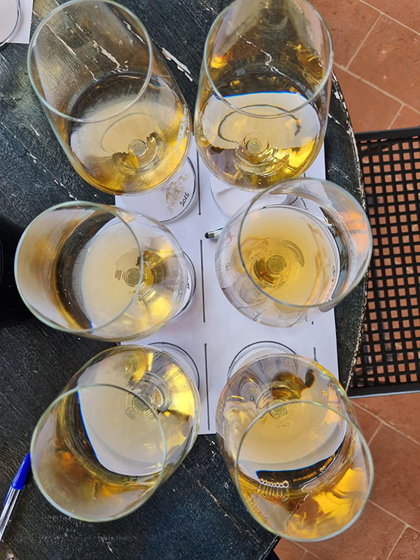 La verticale di Arale