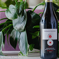 Barbaresco Bricco San Giuliano 2020 Pasquale Pelissero