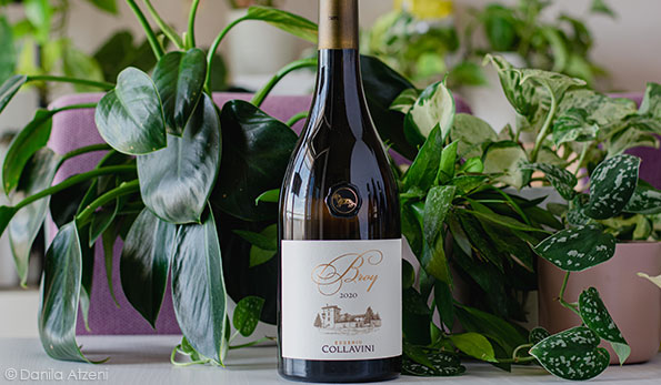 Collio Broy 2020 Collavini