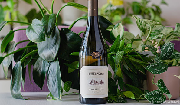 Collio Friulano T-Friulano 2022 Collavini