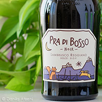 Lambrusco Reggiano Dolce Pra di Bosso Noir Casali Viticultori