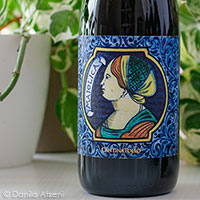 Maiolica 2021 Cantina Tollo