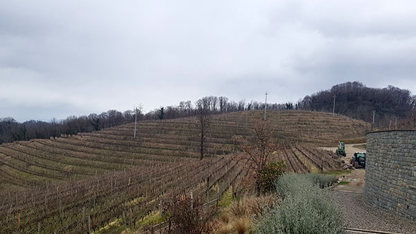 Vigneti a Monte Calvario