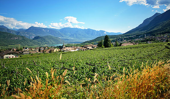 Vigneti Peak Nat nella zona di St. Nikolaus