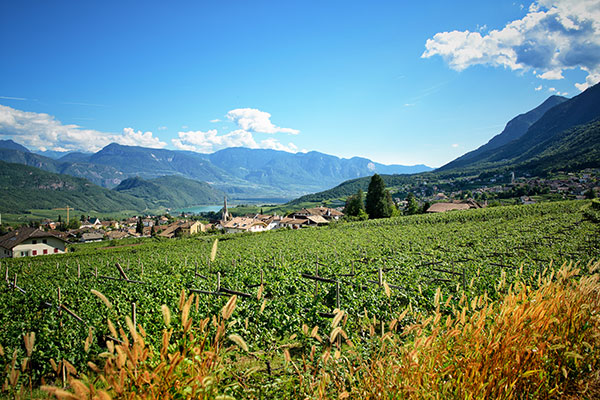 Vigneti Peak Nat nella zona di St. Nikolaus