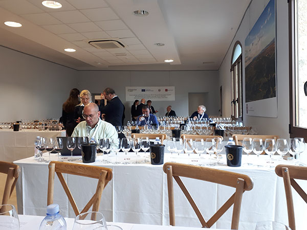 Anteprima del Vino Nobile di Montepulciano 2024