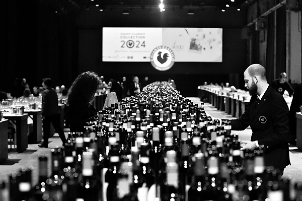 Chianti Classico Collection 2024 vini