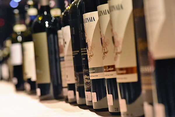 Chianti Classico Collection 2024 vini