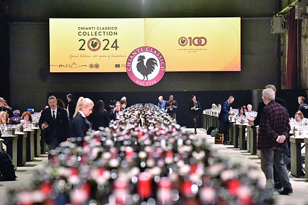 Chianti Classico Collection 2024 vini