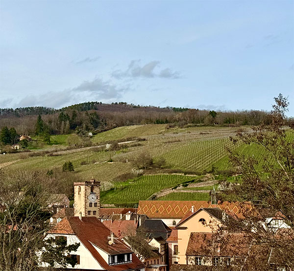 Ribeauvillé