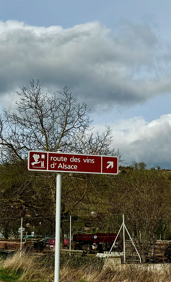 Route des vins d'Alsace