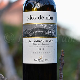 Trentino Superiore Sauvignon Blanc Dòs de Nòa 2021 Agraria Riva del Garda