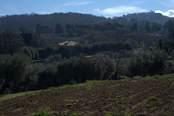 Il paesaggio circostante