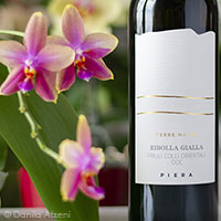 Friuli Colli Orientali Ribolla Gialla Terre Magre 2023 Piera 1899