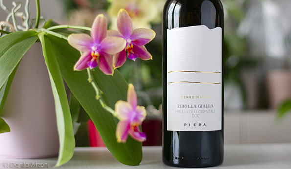 Friuli Colli Orientali Ribolla Gialla Terre Magre 2023 Piera 1899