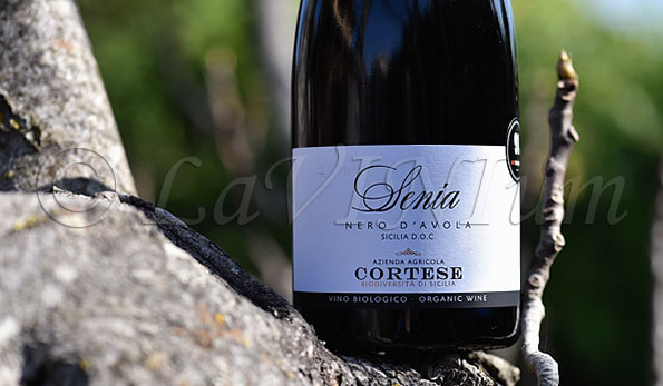 Sicilia Nero d’Avola Senia 2020 Cortese