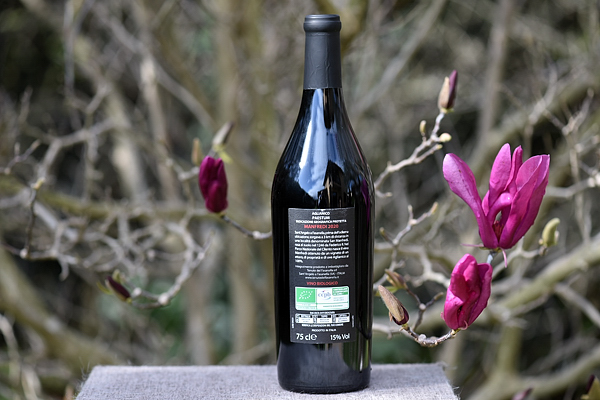 Aglianico Manfredi 2020 Tenute del Fasanella