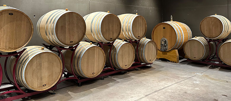 La cernita delle uve