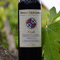 Chianti Classico I Colli Riserva Tenuta I Colli 2019 Bindi Sergardi