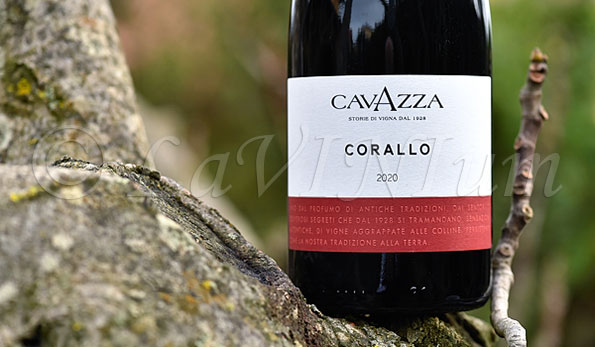 Colli Berici Tai Rosso Corallo 2020 Cavazza