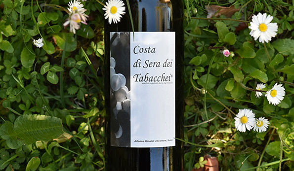 Il vino in 300 battute: Colline Novaresi Bianco Costa di Sera dei Tabacchei 2021 Alfonso Rinaldi