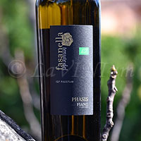 Fiano Phasis 2022 Tenute del Fasanella