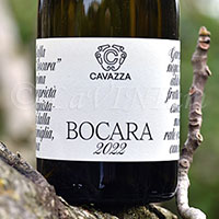 Gambellara Classico Bocara 2022 Cavazza
