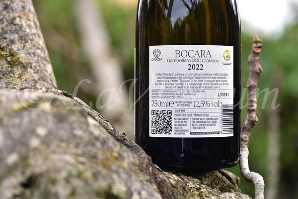 Gambellara Classico Bocara 2022 Cavazza