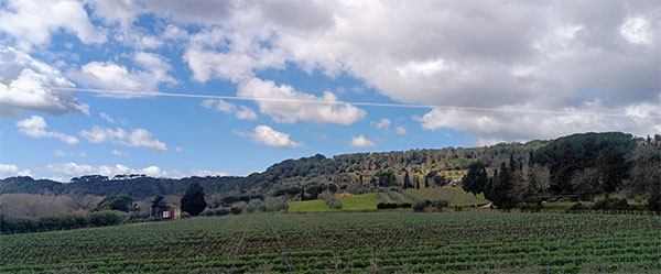 La Regola, panorama